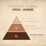 FRESH JASMINE