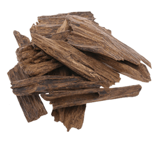 Agarwood