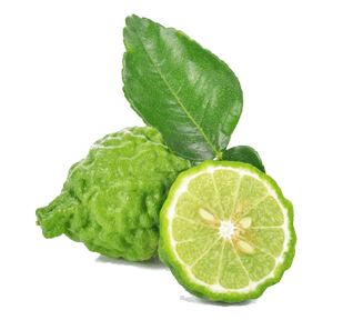 Bergamot