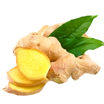 Ginger