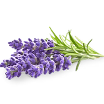 Lavendar